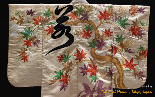 PXL 20241102 032401172