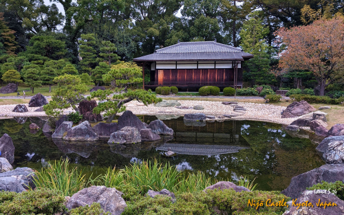 Nijo-Castle-PXL 20241110 072745886