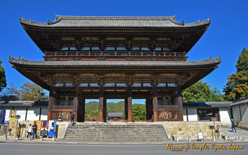 Ninna-ji-Temple-DSC 5439