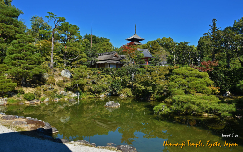 Ninna-ji-Temple-DSC 5446