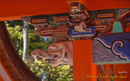 Ninna-ji-Temple-DSC 5478