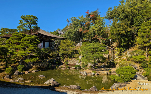 Ninna-ji-Temple-PXL 20241109 032301213