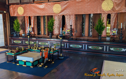 Ninna-ji-Temple-PXL 20241109 033309197