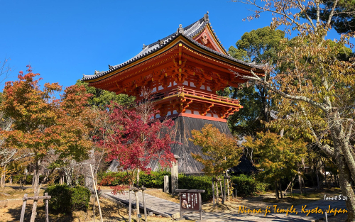 Ninna-ji-Temple-PXL 20241109 035443378