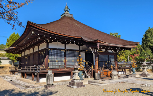 Ninna-ji-Temple-PXL 20241109 035842870