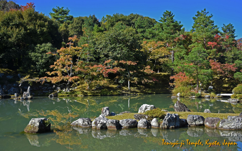 Tenryu-ji-Temple-DSC 5425