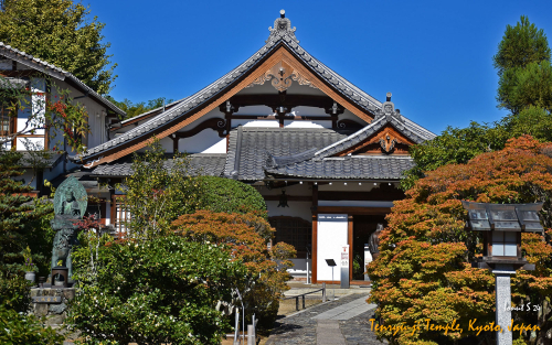 Tenryu-ji-Temple-DSC 5437