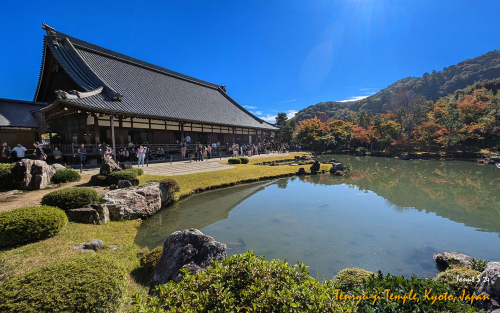 Tenryu-ji-Temple-PXL 20241109 023232853