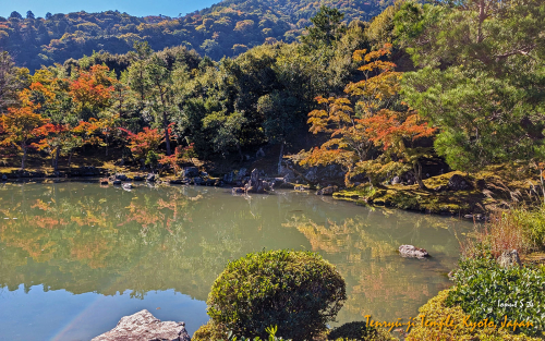 Tenryu-ji-Temple-PXL 20241109 023246969