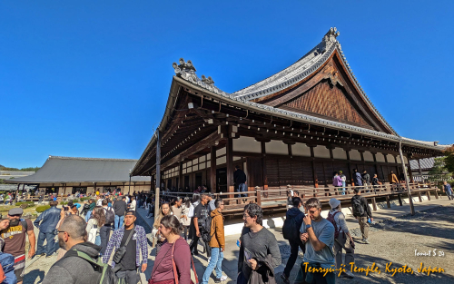 Tenryu-ji-Temple-PXL 20241109 023644271