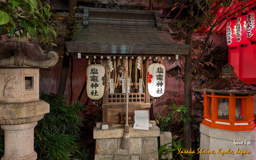 Yasaka-Shrine-PXL 20241110 101619165