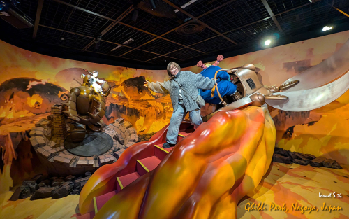 PXL 20241108 012452395