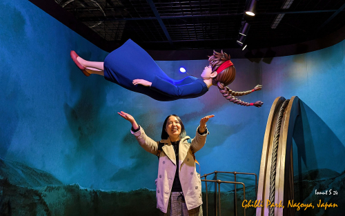 PXL 20241108 012646860