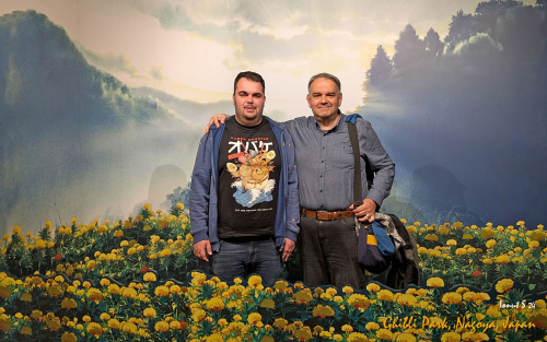 PXL 20241108 012937450