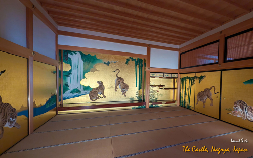 Castle-PXL 20241107 035824635