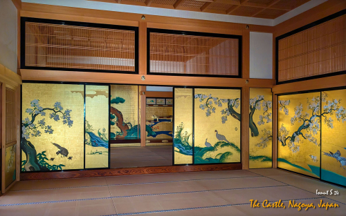 Castle-PXL 20241107 040014446