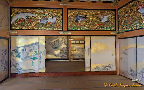 Castle-PXL 20241107 040500315