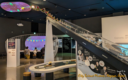 City-Science-Museum-PXL 20241107 071755686