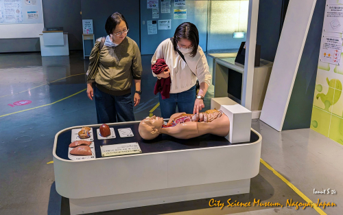 City-Science-Museum-PXL 20241107 072754351