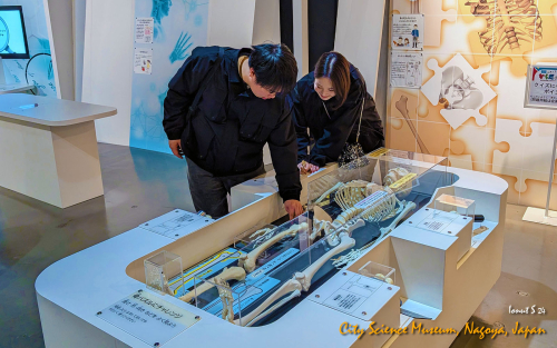 City-Science-Museum-PXL 20241107 072837260