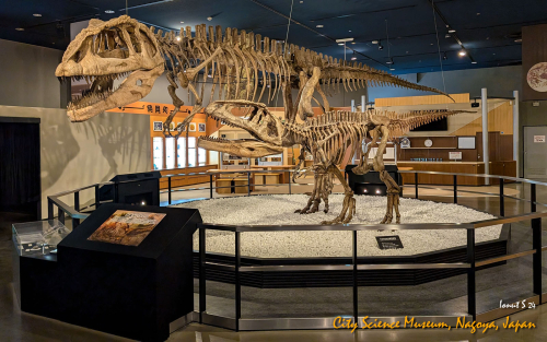 City-Science-Museum-PXL 20241107 075721226