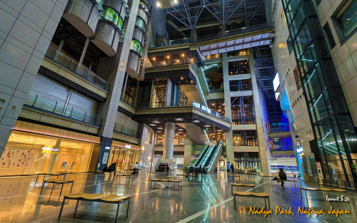 Nadya-Park-PXL 20241107 085454198