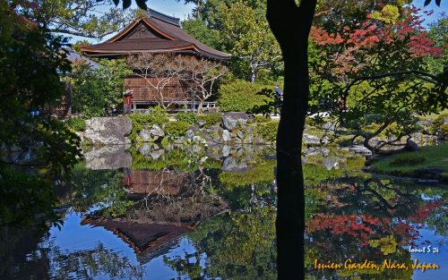 Isuien-Garden-DSC 5562