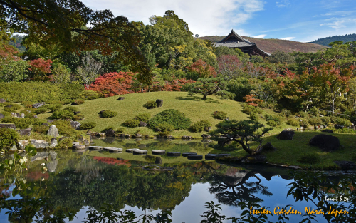 Isuien-Garden-DSC 5565