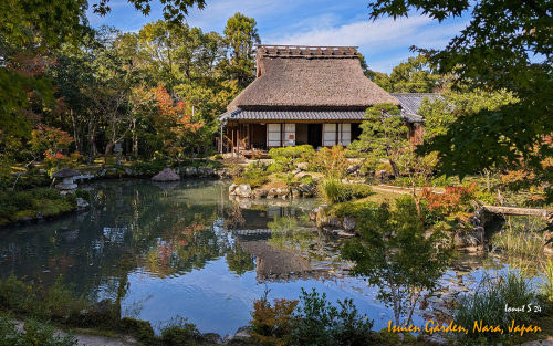 Isuien-Garden-PXL 20241110 014442179