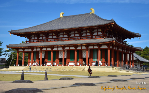 Kofuku-ji-Temple-DSC 5534