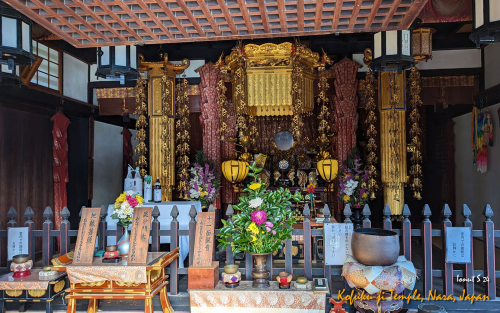 Kofuku-ji-Temple-PXL 20241110 011604662