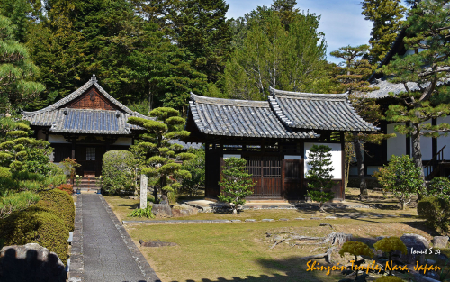 Shinzoin-Temple-DSC 5571