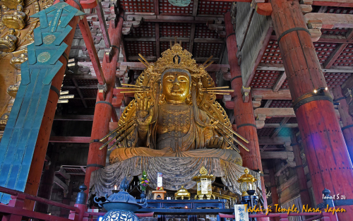 Todai-ji-Temple-DSC 5604