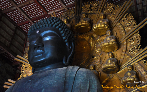 Todai-ji-Temple-DSC 5605