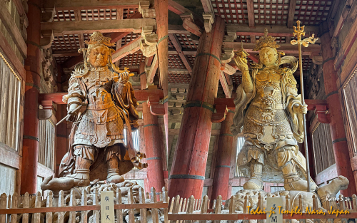 Todai-ji-Temple-IMG 1725