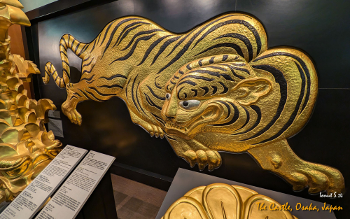 Castle-PXL 20241112 023627490