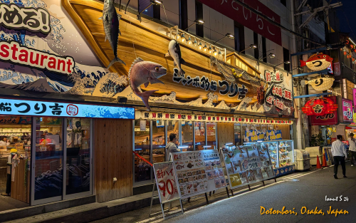 Dotonbori-PXL 20241112 082214452