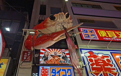 Dotonbori-PXL 20241112 083423259