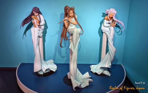 01-PXL 20241112 031452112