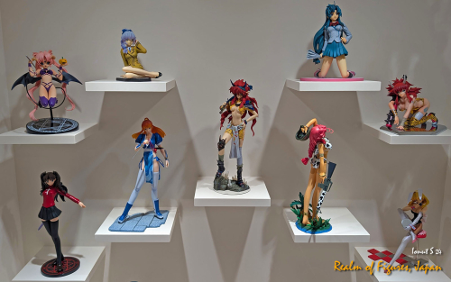 17-PXL 20241112 031416026