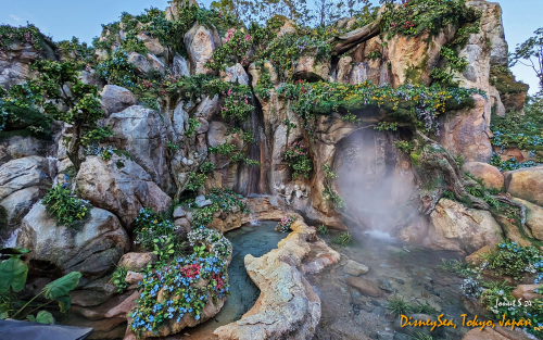 PXL 20241104 064440560