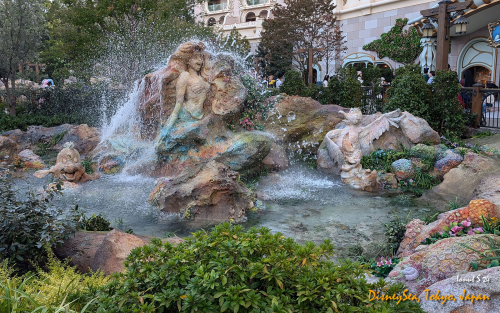 PXL 20241104 064641776