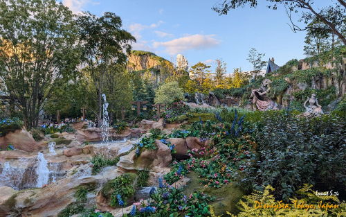 PXL 20241104 064658782