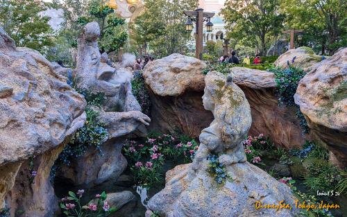 PXL 20241104 065610928