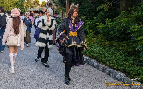 PXL 20241104 065822568