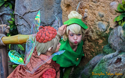 PXL 20241104 071230049