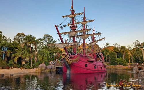 PXL 20241104 071340148