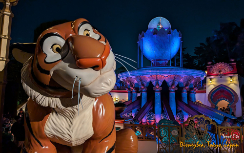 PXL 20241104 085015613