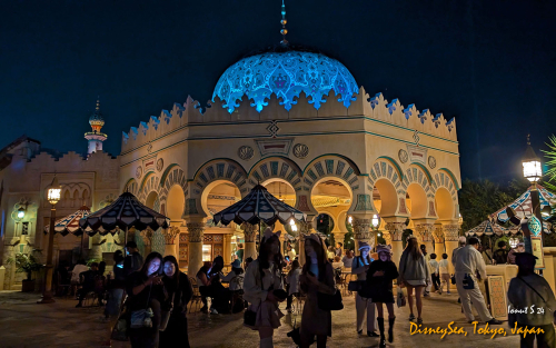 PXL 20241104 085236997