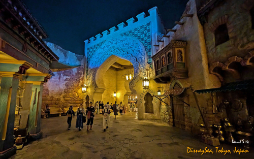 PXL 20241104 085436665